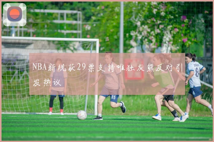 NBA新规获29票支持唯独灰熊反对引发热议