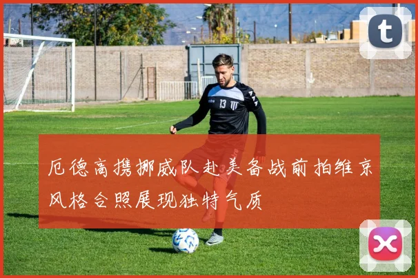 厄德高携挪威队赴美备战前拍维京风格合照展现独特气质